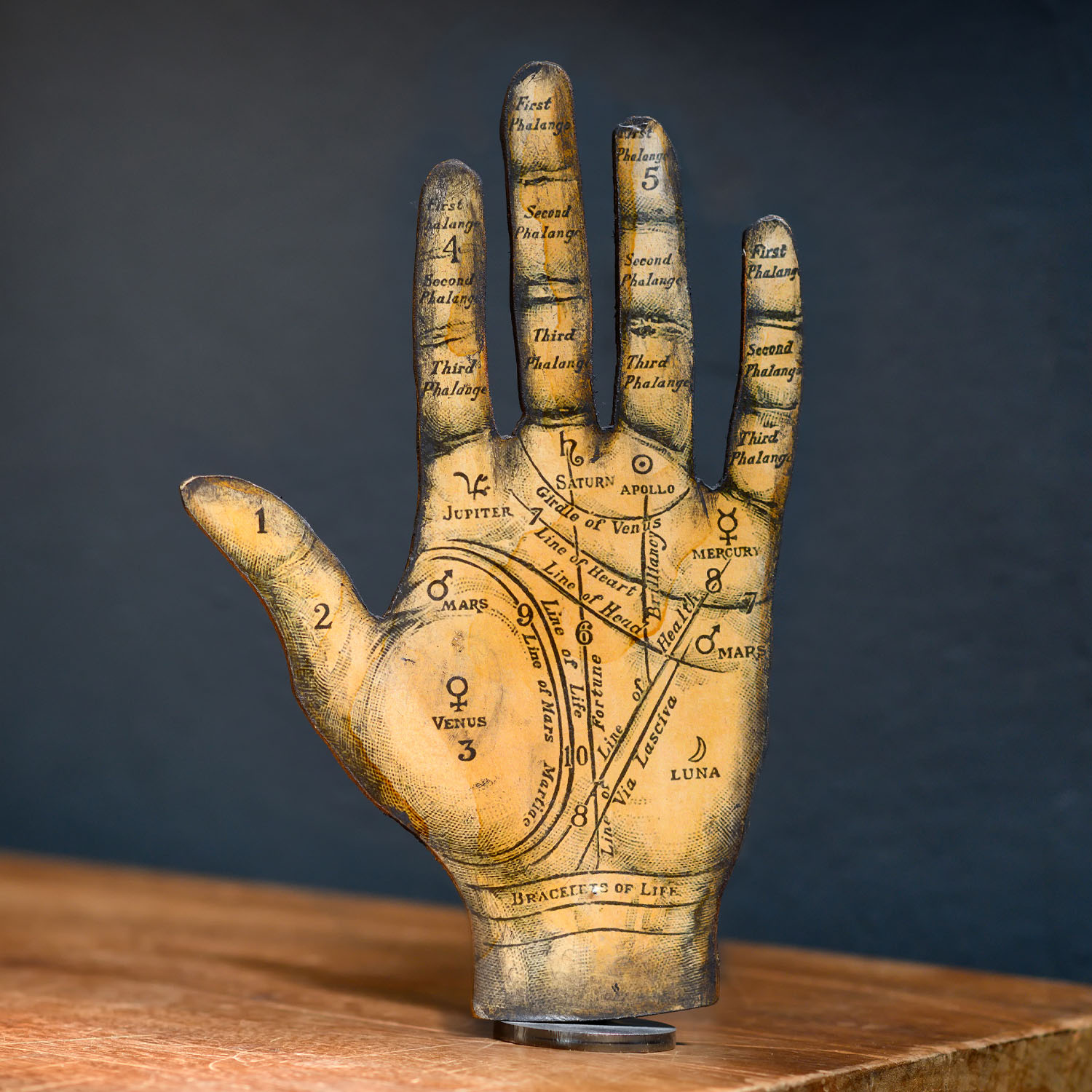 palmistry at Laguna Beach Chakra